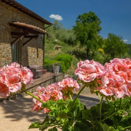 Podere Figlinelle * Starda