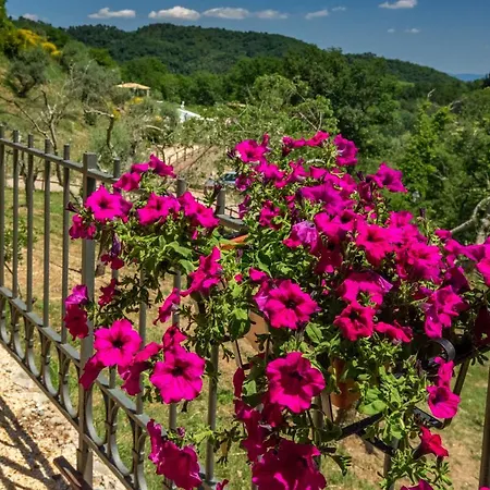 Podere Figlinelle Κατάλυμα σε φάρμα Starda